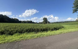 944 S, Fulton, KY 42041