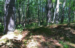 265 Webber Hill Road, Kennebunk, ME 04043