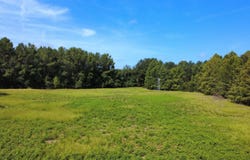 Hardwick Rd., Nichols, SC 29581