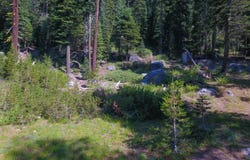 Parcel 2, Little Norway, CA 95735