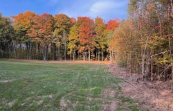 004 S Bright Road, Maple City, MI 49664