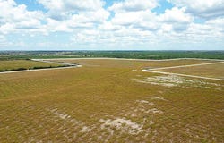 TBD CR 321, George West, TX 78022