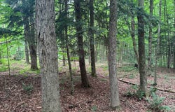 Deer Meadows Subd, Smyrna, NY 13464