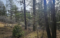 Seal Lane, Bonanza, OR 97623