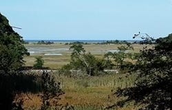 Ox Pasture Road, Sandwich, MA 02563