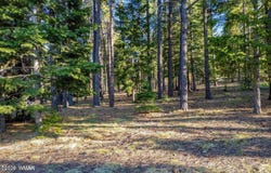10 N 1337, Greer, AZ 85927