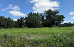 6514 Princess Ann Road, Evergreen, NC 28438