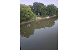 TBD-1 FM 2517, Carthage, TX 75633