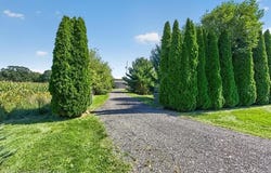 9045 Lemon Road, Antrim Twp, MI 48414