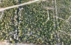 Highway 72 lot: 0, Three Rivers, TX 78071