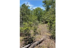 Koali Dr lot: 1123, Bastrop, TX 78602