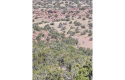 N6448, St. Johns, AZ 85936