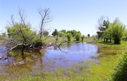 40 Acres Sears Mayfield Rd, Henrietta, TX 76365