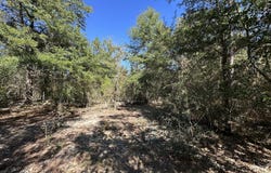 Bear Head Road, Crestview, FL 32539