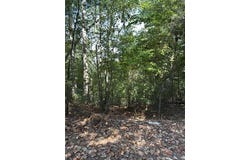 946 Aurora Lane, Ranger, GA 30734