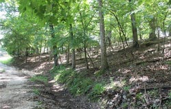 Karen Road, Gravois Mills, MO 65037