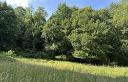 132 Crescent Lake Road, Scotrun, PA 18355
