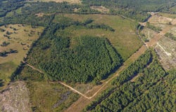 FM 251 N, Bloomburg, TX 75556