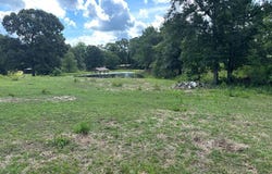 Guthrie Carter Road, MOSELLE, MS 39459