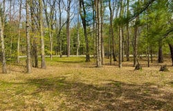 5302 Karlin Road, Interlochen, MI 49643-9535