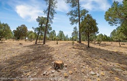 Twin Tree Loop lot: 19, Alto, NM 88312