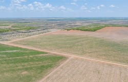 11270 County Road 202, Avoca, TX 79503