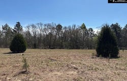 Marcellus Road, Leesville, SC 29070