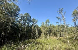 Cauthen Road, Camden, MS 39045