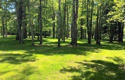 170 W Main St/ US Rt 322, Orwell, OH 44076