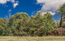 V/L Schady Road, Olmsted Twp, OH 44138
