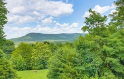 263 NC 8466, Parthenon, AR 72666