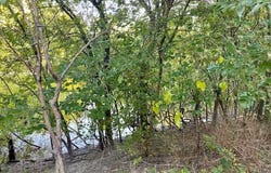 Harrell Road, Howe, TX 75459