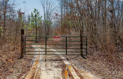 573AC Daus Mountain Rd, Palmer, TN 38365