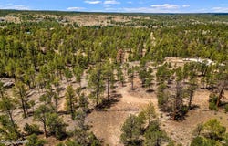 2975 Canary Lane, Heber, AZ 85928