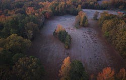 Black Hill Road, Bee Branch, AR 72013