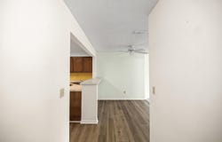 55 Bay Drive, Niceville, FL 32578