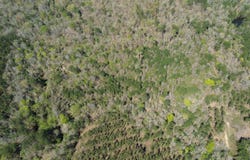 FM 1012, Newton, TX 75966