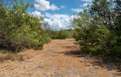 12002 Sunbonnet Cv, Austin, TX 78719