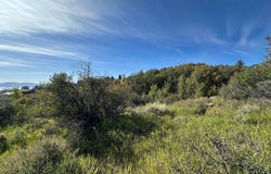 117 HOLLOW Dr, Fish Haven, ID 83287