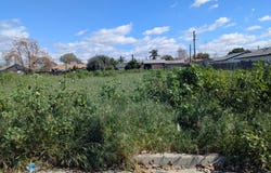 914 L Street, Sanger, CA 93657