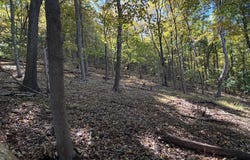 2 RESERVOIR Lane, RIDGELEY, WV 26753