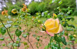 885 Larkin Valley RD, WATSONVILLE, CA 95076