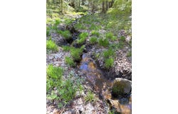Townline Road, Skandia, MI 49855