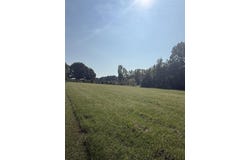 Clement Rd, Leighton, AL 35646