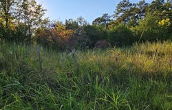 11468 Old Pike Road, Mathews, AL 36052