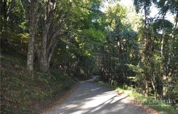 E Whenlin Ridge Road, Lansing, NC 28643