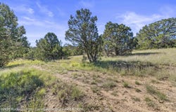 2B & 3A Hwy 220 lot: 2B & 3A, Alto, NM 88312
