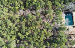 Highway 21 N, Springfield, GA 31329