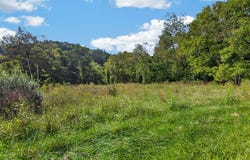 1143 S Main St., Galax, VA 24333