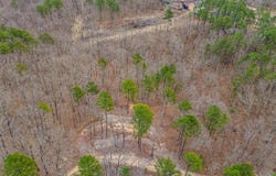 467 Timberline Road, Willow Springs, MO 65793